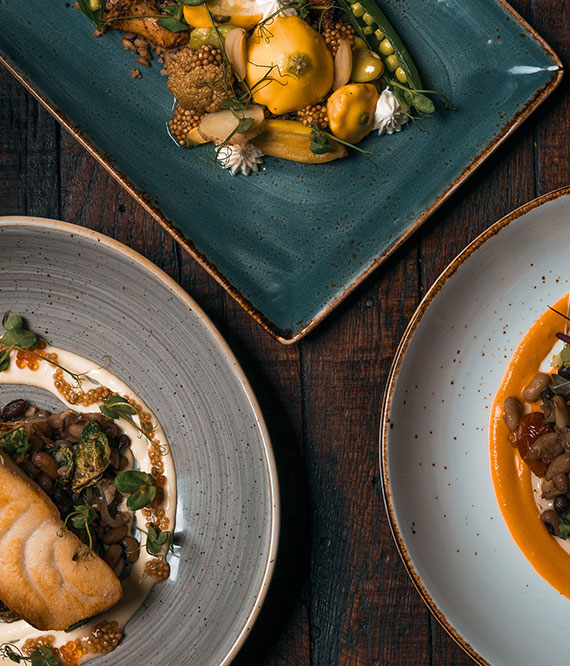 Grupos y Familias Sushisom